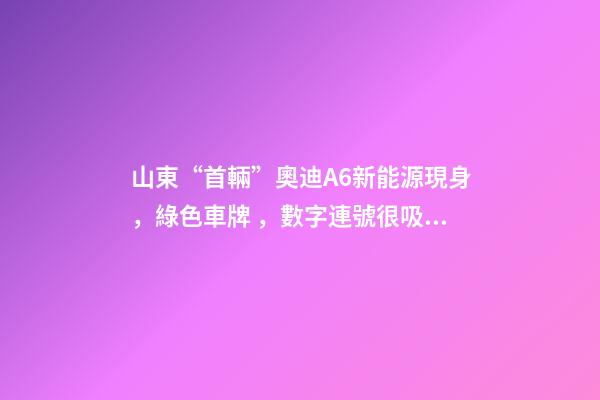 山東“首輛”奧迪A6新能源現身，綠色車牌，數字連號很吸睛！